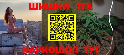 шишки Гагарин