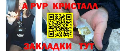 шишки Гагарин
