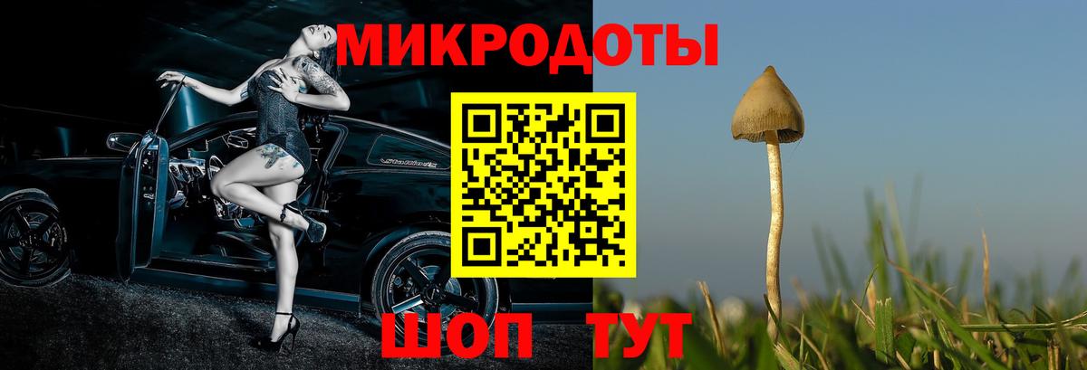 Сергиев Посад  Псилоцибиновые грибы Psilocybe  Псилоцибиновые грибы Psilocybe  Вход с VPN 